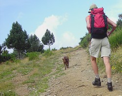 wandelend met mijn hoond in de PyreneÃ«n